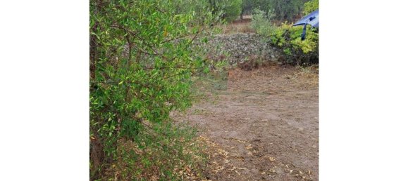 Земельный участок 91840м² в Вакейруш, Португалия № 69769 21