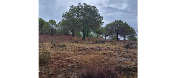 Земельный участок 91840м² в Вакейруш, Португалия № 69769 11