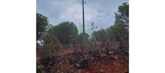 Земельный участок 91840м² в Вакейруш, Португалия № 69769 12