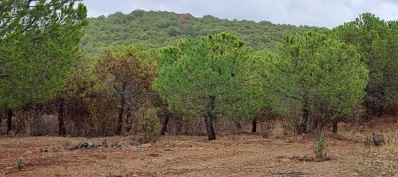 Земельный участок 91840м² в Вакейруш, Португалия № 69769 2