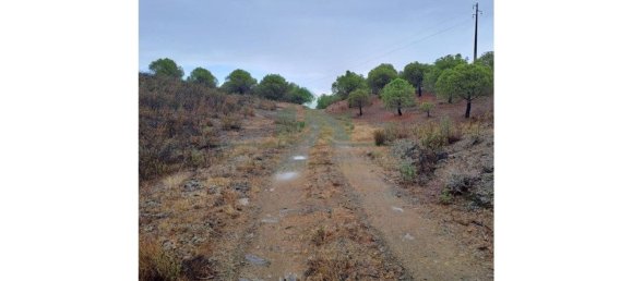 Земельный участок 91840м² в Вакейруш, Португалия № 69769 10