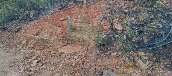 Земельный участок 91840м² в Вакейруш, Португалия № 69769 5