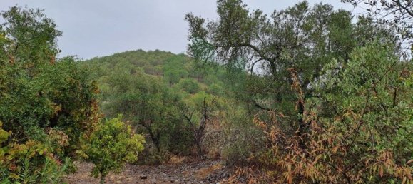 Земельный участок 91840м² в Вакейруш, Португалия № 69769 20