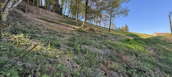  Land in Sanvignes-les-Mines, France No. 306065 5