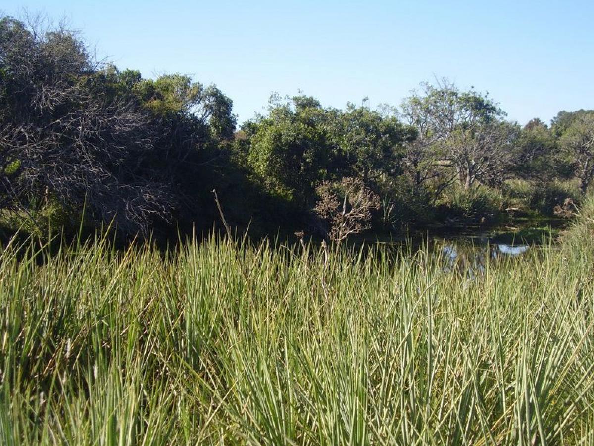  مزرعة في Maldonado, Uruguay رقم 14360