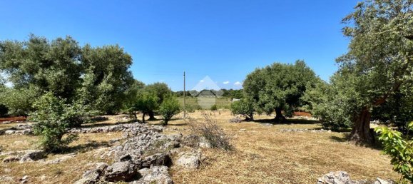 Дом с 2 комнатами в Челье Мессапика, Италия № 146835 23