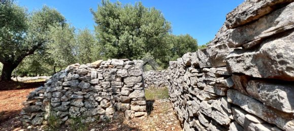 Дом с 2 комнатами в Челье Мессапика, Италия № 146835 14