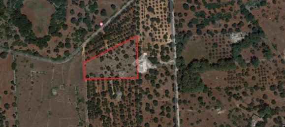 Дом с 2 комнатами в Челье Мессапика, Италия № 146835 26