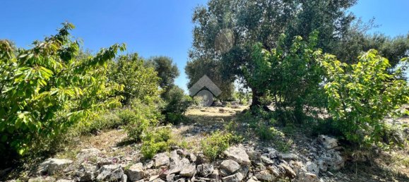 Дом с 2 комнатами в Челье Мессапика, Италия № 146835 16