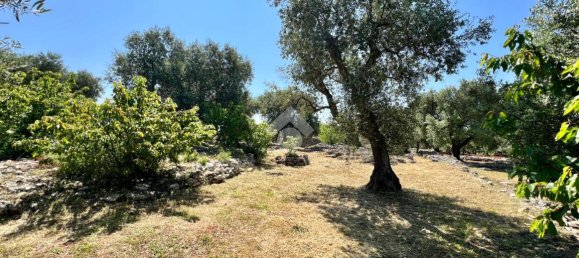 Дом с 2 комнатами в Челье Мессапика, Италия № 146835 25