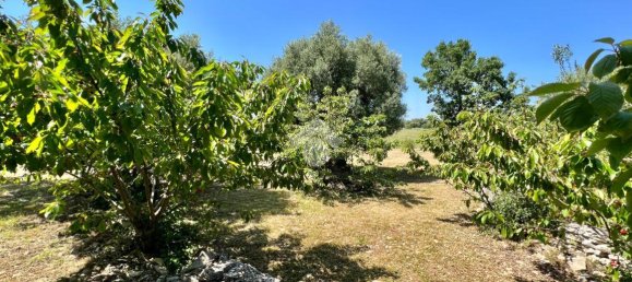 Дом с 2 комнатами в Челье Мессапика, Италия № 146835 24