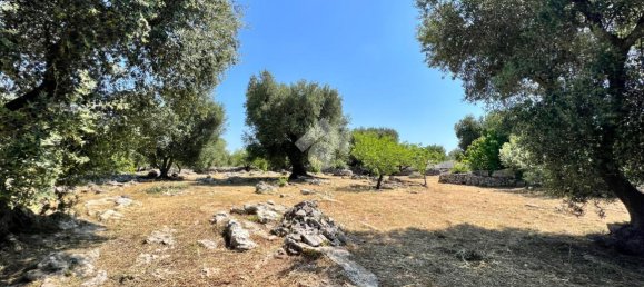 Дом с 2 комнатами в Челье Мессапика, Италия № 146835 21