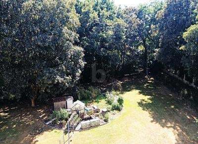 2 rooms Apartment in Harz, Germany No. 337850