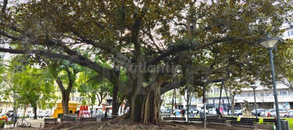 Apartamento de 1 dormitorio en Lisbon, Portugal No. 155194 24