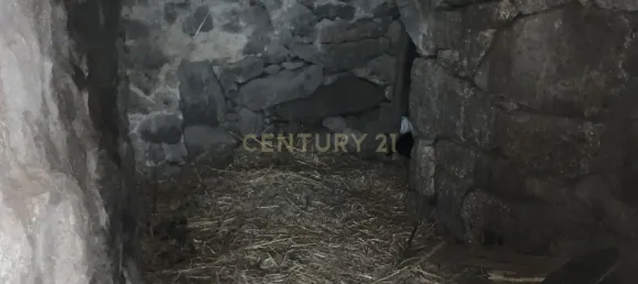 5 bedrooms House in Vieira do Minho, Portugal No. 41522 8