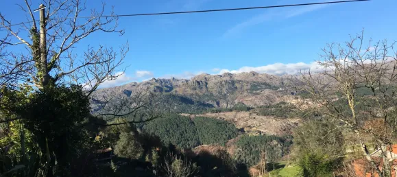 5 bedrooms House in Vieira do Minho, Portugal No. 41522 34