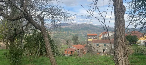 5 bedrooms House in Vieira do Minho, Portugal No. 41522 24