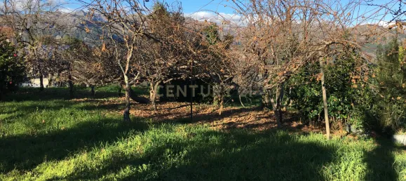 5 bedrooms House in Vieira do Minho, Portugal No. 41522 36