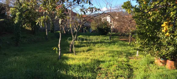 5 bedrooms House in Vieira do Minho, Portugal No. 41522 35