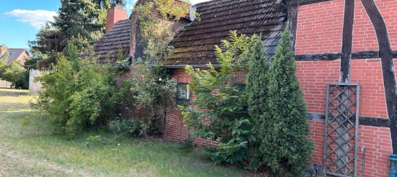 2 غرف نوم منزل في Luchow-Dannenberg, Germany رقم 341781 4