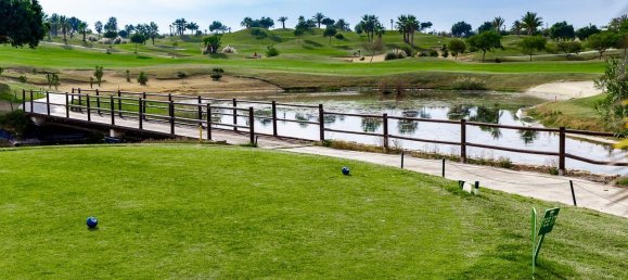 3 bedrooms Villa in Los Montesinos, Spain No. 6363 8