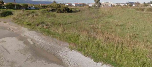 Terra em Zakynthos, Greece N.º 439 4