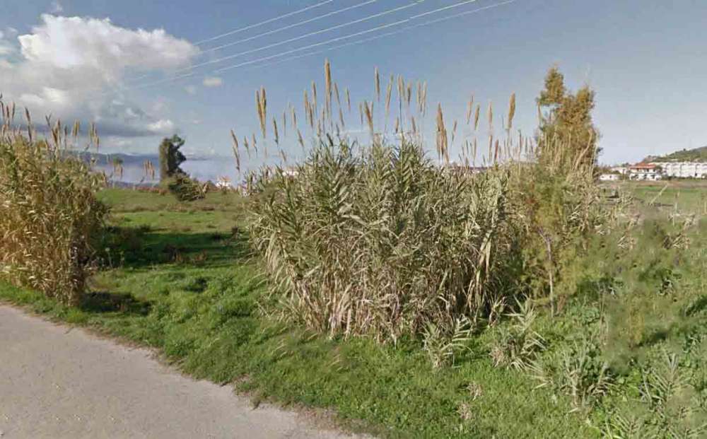  فندق في Zakynthos, Greece رقم 439