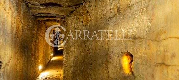 9 bedrooms Villa in Sesto Fiorentino, Italy No. 79710 36