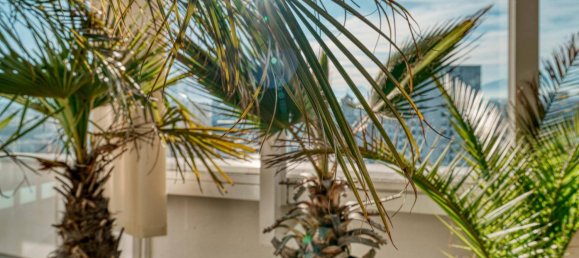 4 rooms Penthouse in Bregenz, Austria No. 206631 44