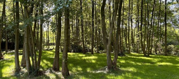 Terreno em Cuxhaven, Germany 7663 m² N.º 180914 3