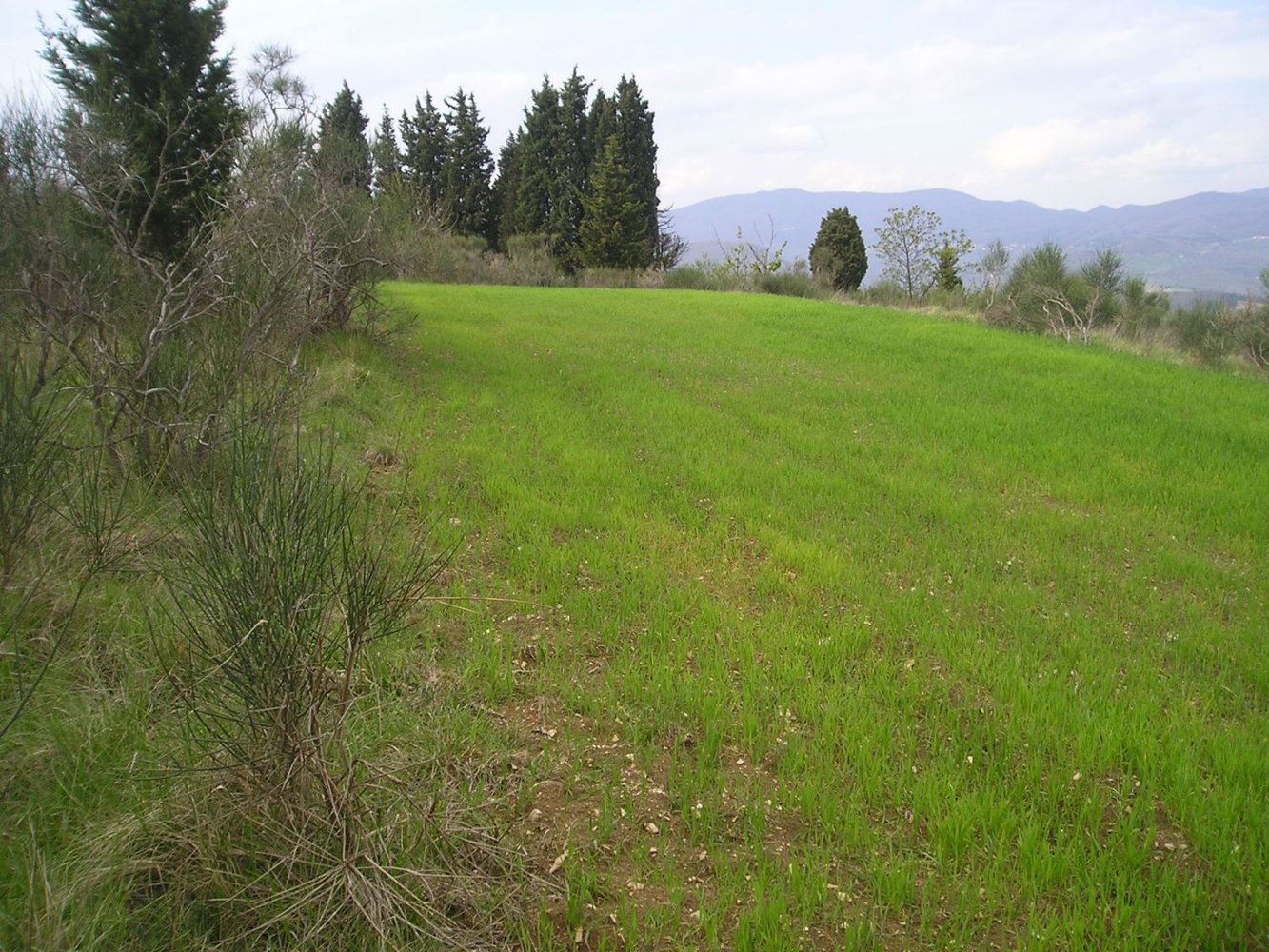 Grundstück in Bagno a Ripoli, Italy 20000m², Nr. 115644