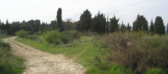 Grundstück in Bagno a Ripoli, Italy 20000m², Nr. 115644 8