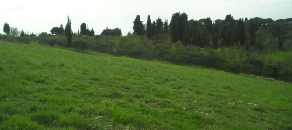 Grundstück in Bagno a Ripoli, Italy 20000m², Nr. 115644 6