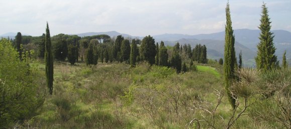 Grundstück in Bagno a Ripoli, Italy 20000m², Nr. 115644 5