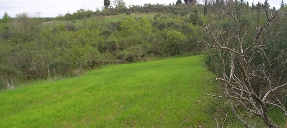 Grundstück in Bagno a Ripoli, Italy 20000m², Nr. 115644 2