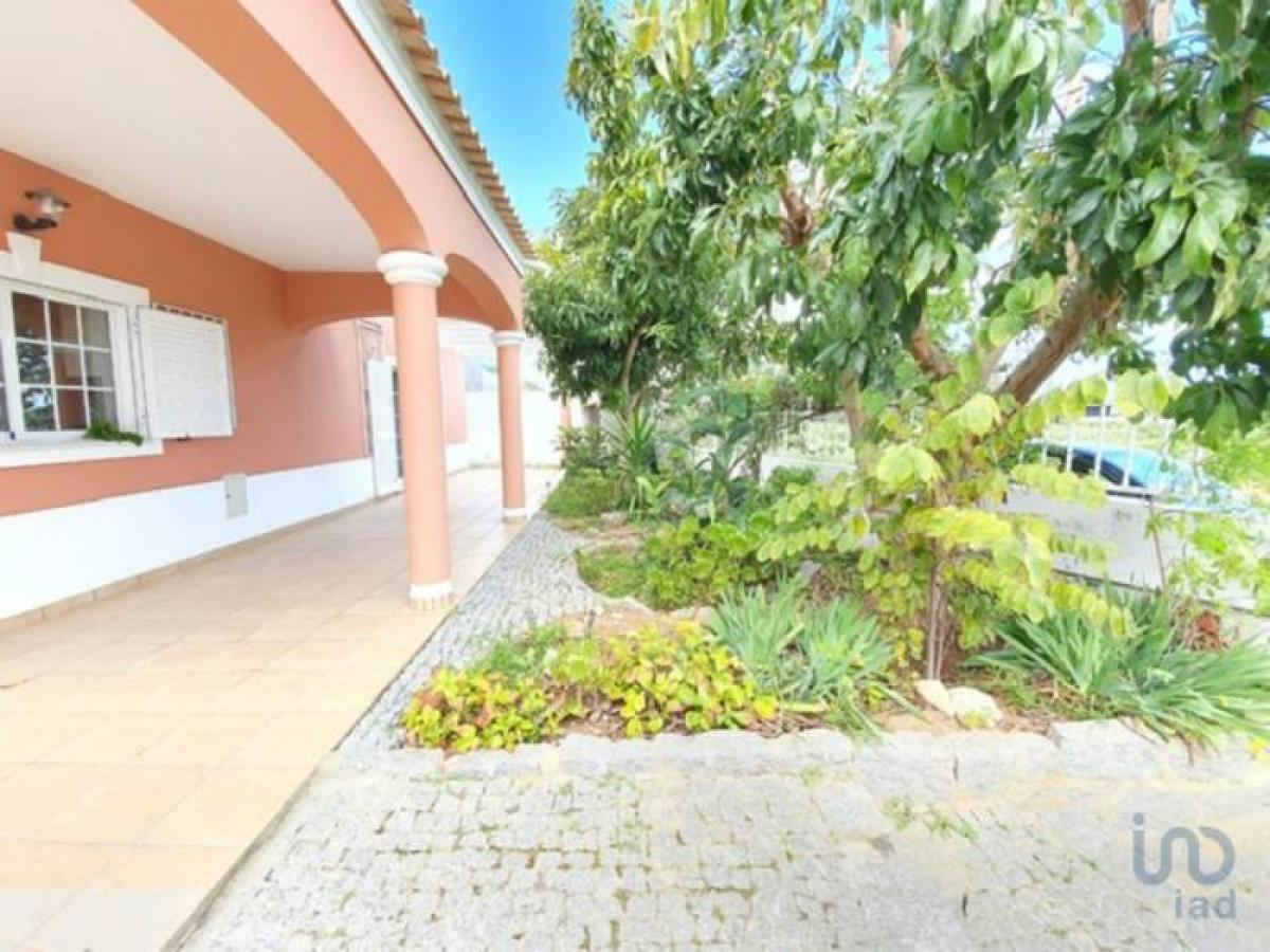 5 غرف نوم منزل في Olhao, Portugal رقم 627