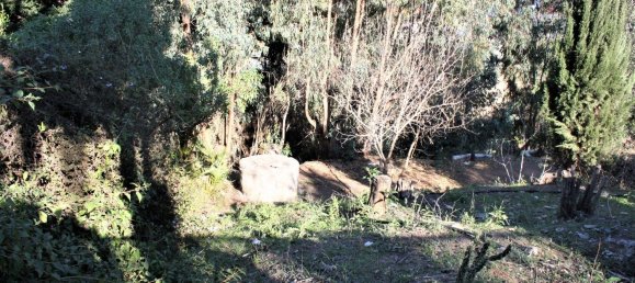 6 Schlafzimmer Haus in Benajarafe, Spain, Nr. 56818 48