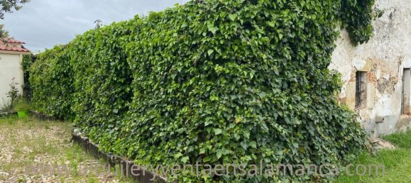 Casa de 3 dormitorios en Salamanca, Spain No. 117532 2