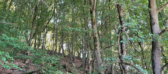  Land in Lahn-Dill, Germany No. 342288 8