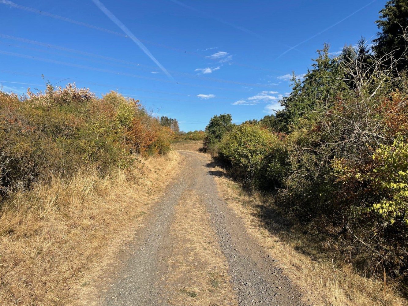  Land in Lahn-Dill, Germany No. 342288