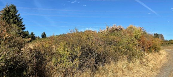  Land in Lahn-Dill, Germany No. 342288 3