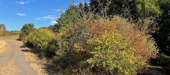  Land in Lahn-Dill, Germany No. 342288 6