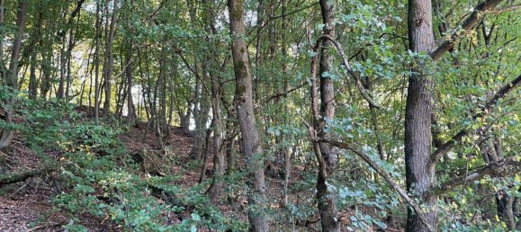  Land in Lahn-Dill, Germany No. 342288 10