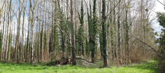 22928m² Land in Sarthe, France No. 301611 5