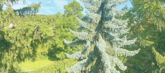 2 Schlafzimmer Wohnung in Baden, Austria, Nr. 255521 3