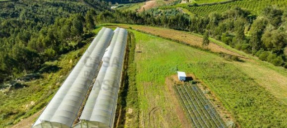  قطعة أرض في Ericeira, Portugal 230متر مربع رقم 185880 12