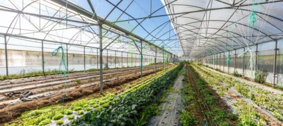  قطعة أرض في Ericeira, Portugal 230متر مربع رقم 185880 11