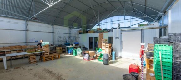  قطعة أرض في Ericeira, Portugal 230متر مربع رقم 185880 13