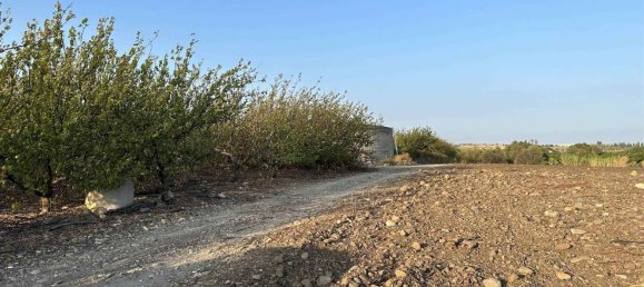 Terreno em Misterbianco, Italy 20000 m² N.º 141118 2