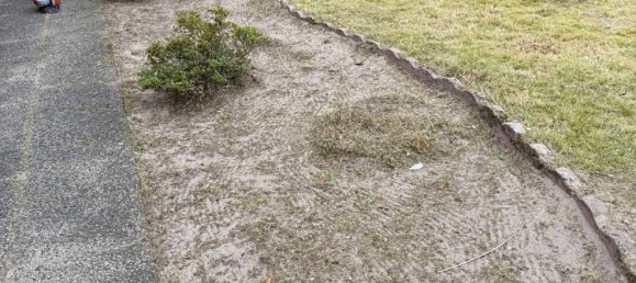 3 chambres Bungalow à Oldenburg, Germany No. 331367 7